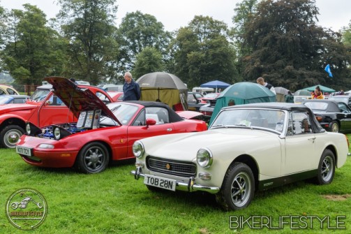 himley-classic-show-100