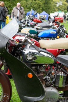himley-classic-show-138