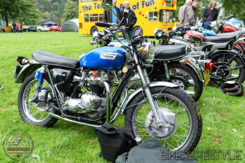himley-classic-show-141