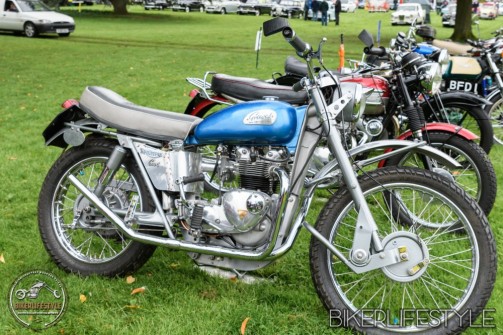 himley-classic-show-145