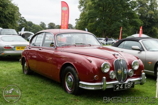 himley-classic-show-168