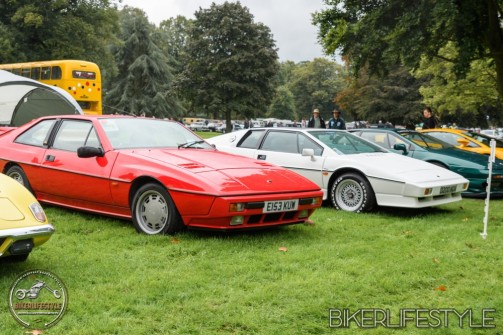 himley-classic-show-182