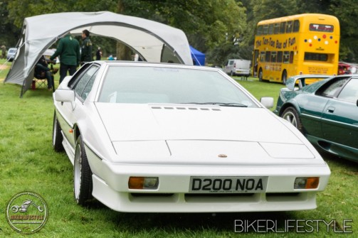 himley-classic-show-185