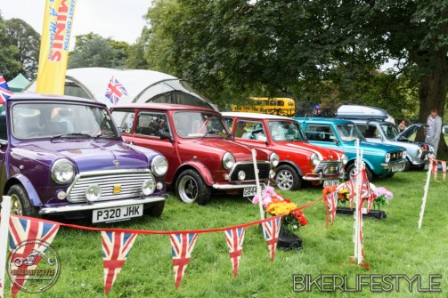 himley-classic-show-213