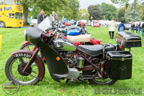 himley-classic-show-137