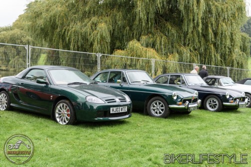 himley-classic-show-159