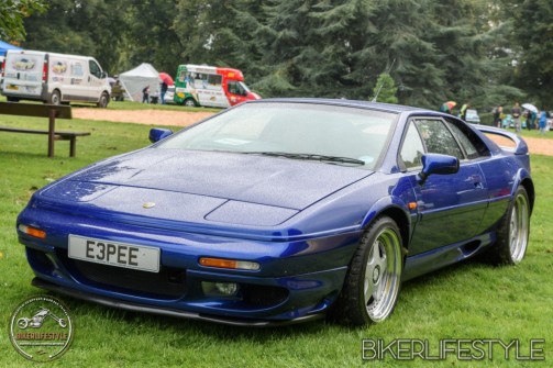 himley-classic-show-181