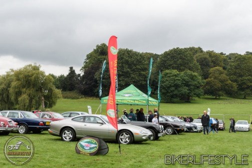 himley-classic-show-199