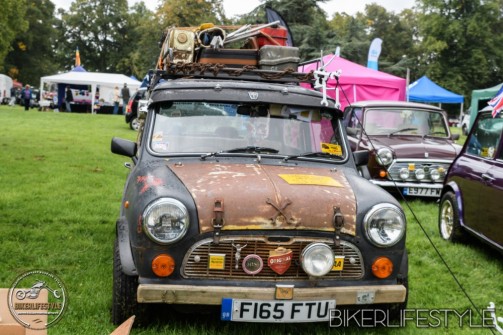 himley-classic-show-211